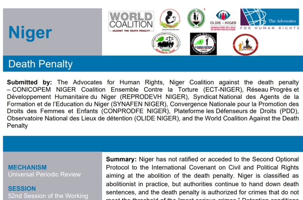 Niger one-pager example image